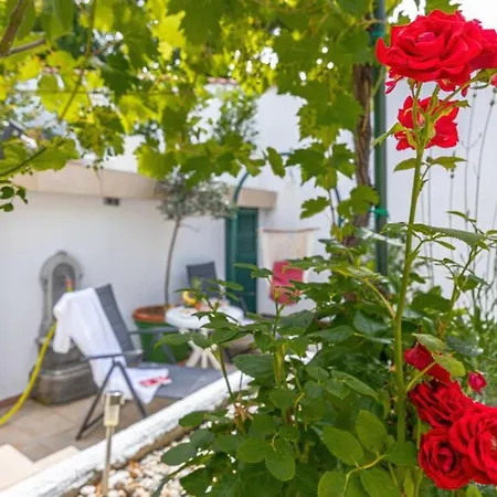Beautiful Ana With Sea View In Villa