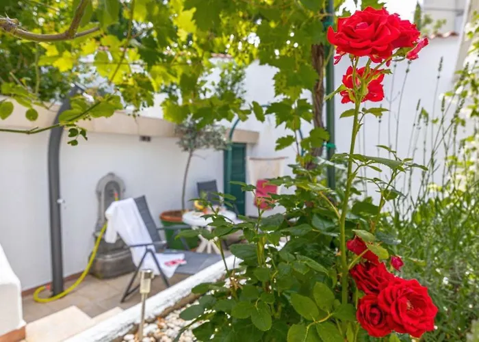 Beautiful Ana With Sea View In Villa