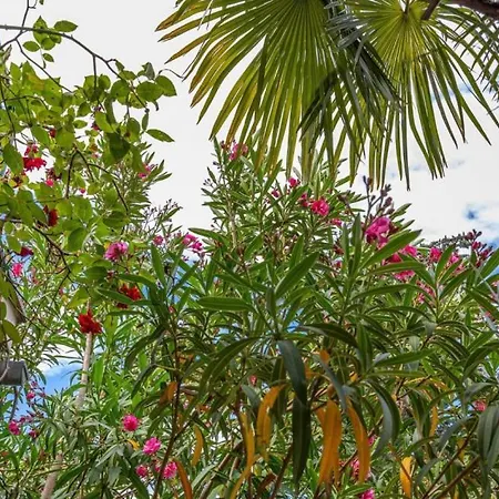 וילה Beautiful Ana With Sea View In Crikvenica *