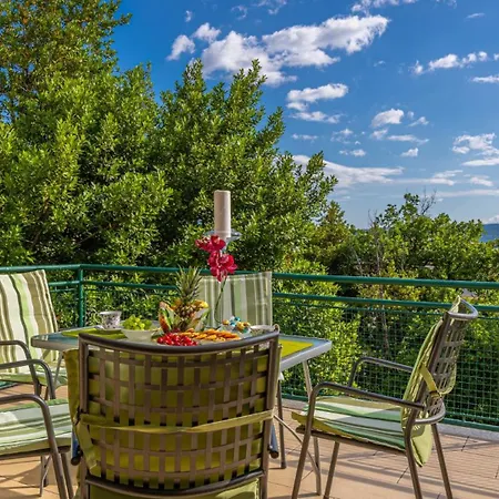 Villa Beautiful Ana With Sea View In Crikvenica